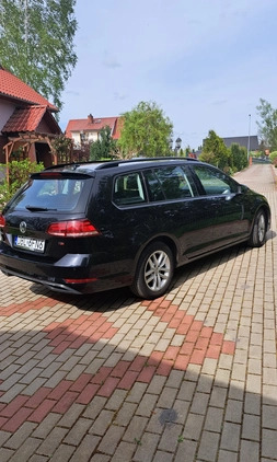 Volkswagen Golf cena 36900 przebieg: 250000, rok produkcji 2017 z Bolesławiec małe 154